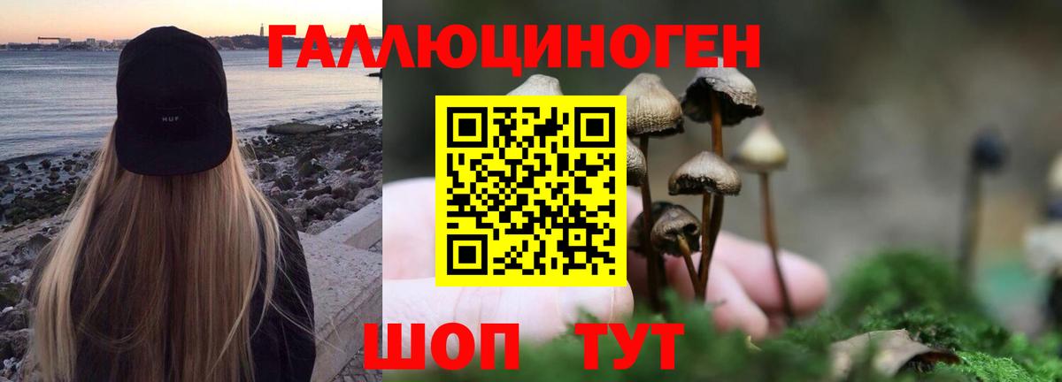 наркота  Галлюциногенные грибы мицелий  Сальск  Вход с VPN  Галлюциногенные грибы Psilocybine cubensis 